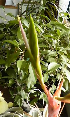 091025_1031~01.jpg